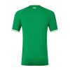 Camiseta de fútbol Irlanda Primera Equipación 2023 - Hombre